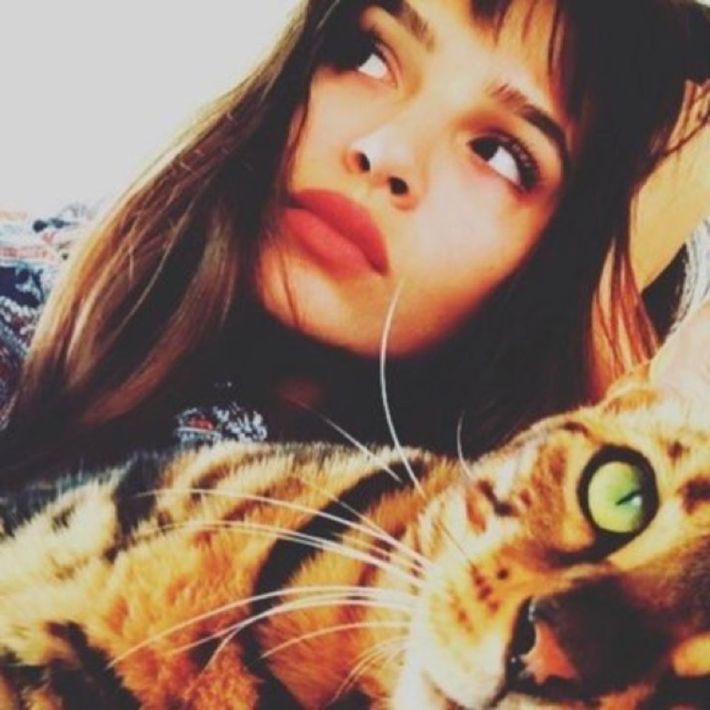 Meet your Posher, Keysi